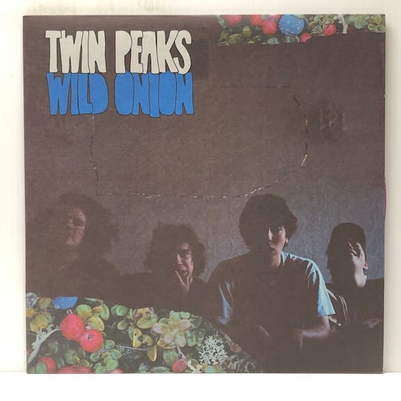 Wild Onion (USED LP)