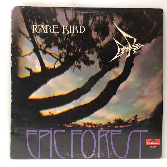 Epic Forest (USED LP)