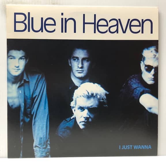 I Just Wanna (USED LP)
