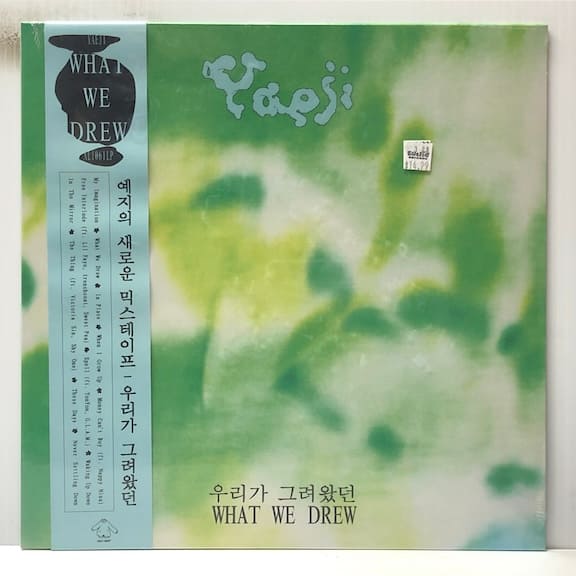 What We Drew (USED LP)