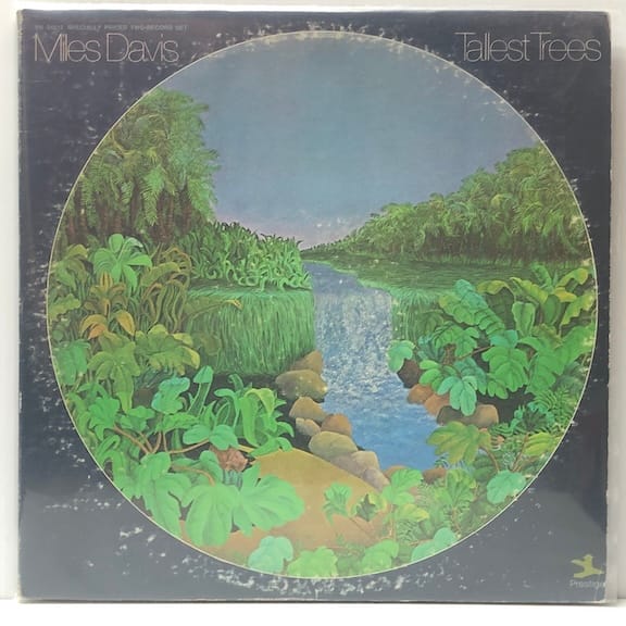 Tallest Trees (USED LP)