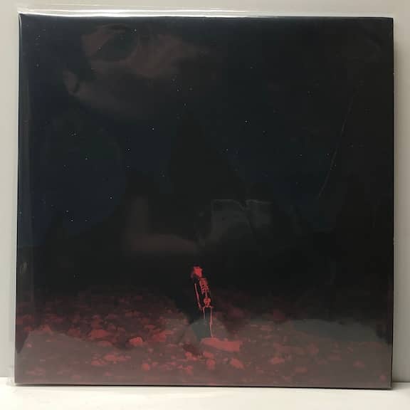 Punisher (USED LP)