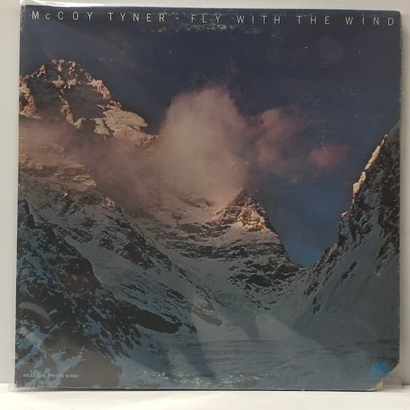 Fly With the Wind (USED LP)