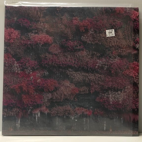 Even In Arcadia (USED LP)