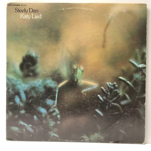 Katy Lied (USED LP)
