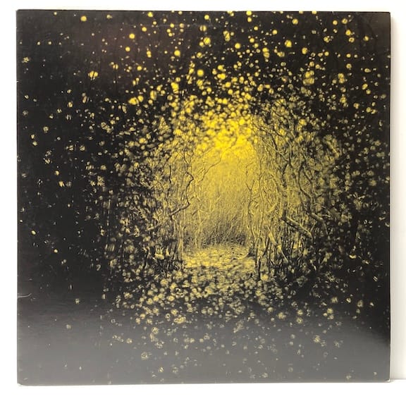 Burst Apart (USED LP)