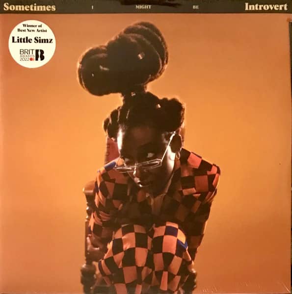 SOMETIMES I MIGHT BE INTROVERT (NEW LP)