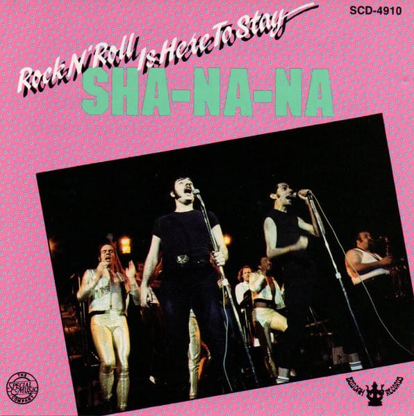ROCK N ROLL IS HERE TO STAY (CD)