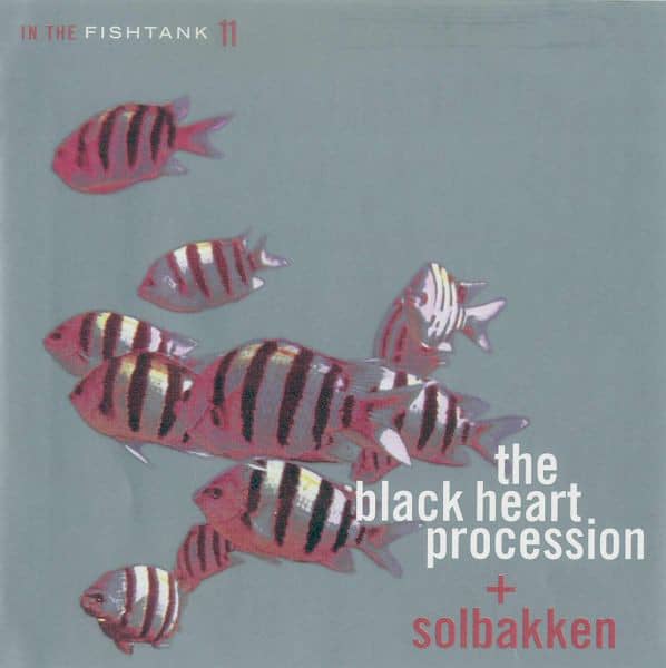 IN THE FISHTANK 11