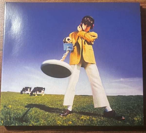 What Happened To The Beach?  (CD)
