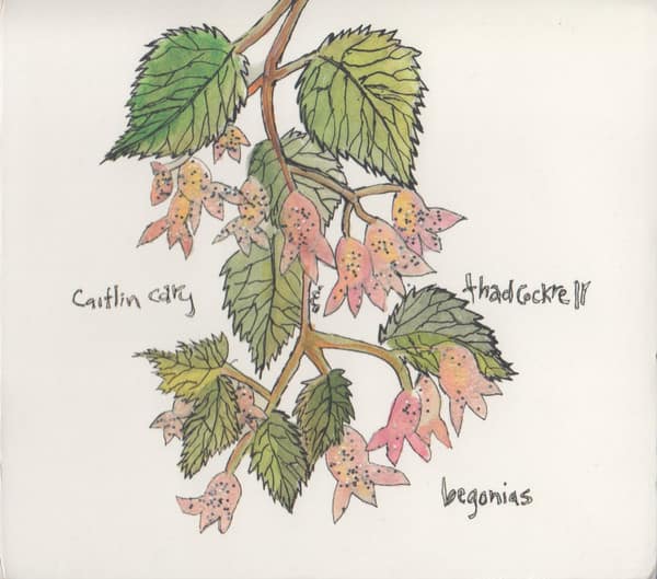 BEGONIAS (Used CD)