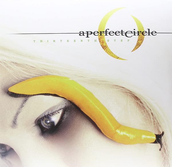 THIRTEENTH STEP (NEW LP)