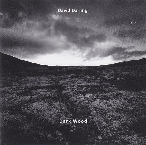 DARK WOOD