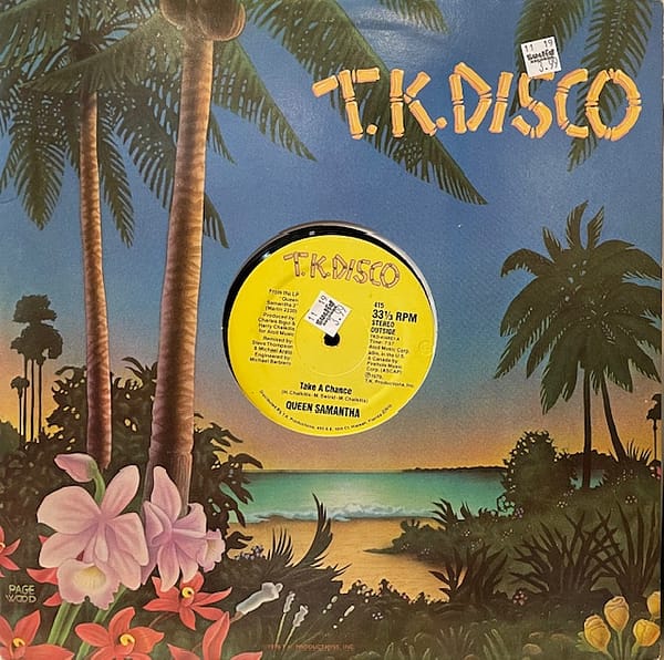 Take a Chance (USED LP)