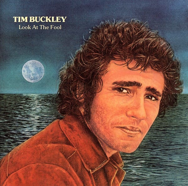 LOOK AT THE FOOL (CD)
