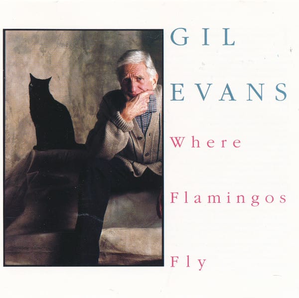WHERE FLAMINGOS FLY