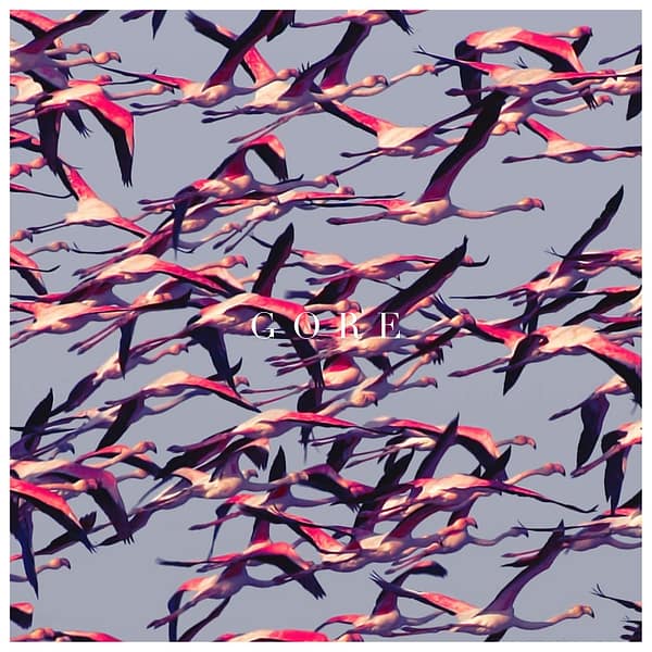 GORE (NEW LP)