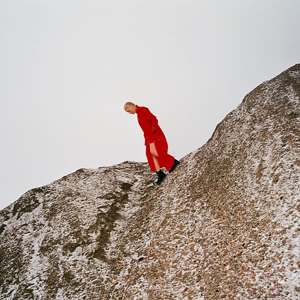 REWARD (NEW LP)