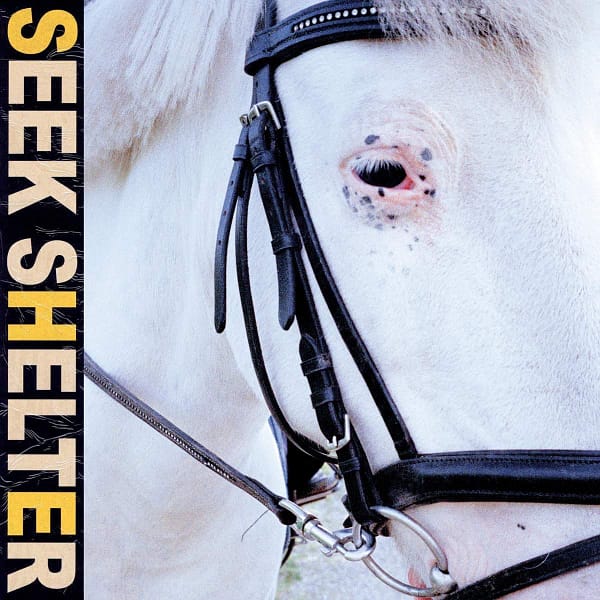 SEEK SHELTER (NEW LP) (MD)