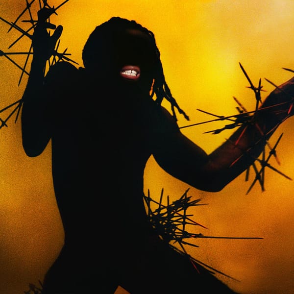 HEAVY HEAVY (NEW LP)