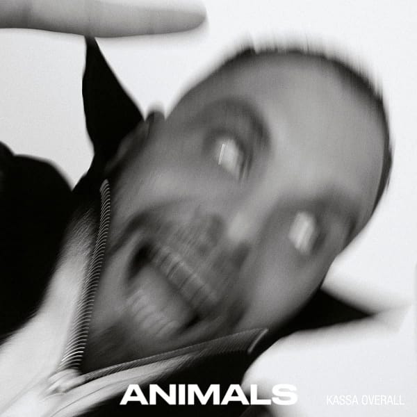 Animals (NEW LP)