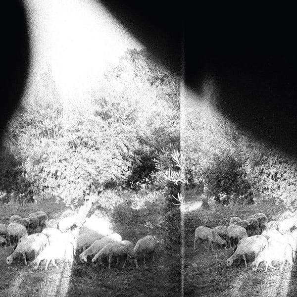 ASUNDER SWEET & OTHER DISTRESS (NEW LP)