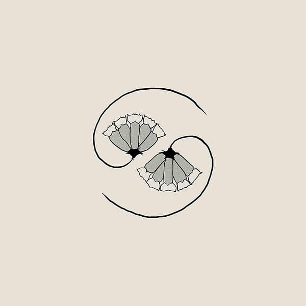 G_D'S PEE AT STATES END (NEW LP)