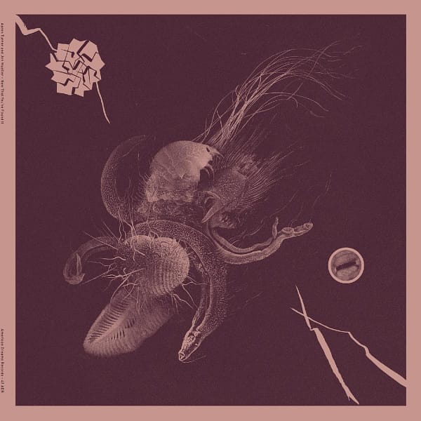 NOW THAT YOU'VE FOUND IT (NEW LP) (MD)