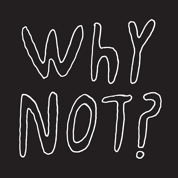 WHY NOT (NEW LP) (MD)