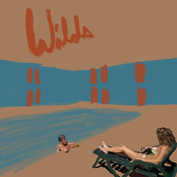 WILDS (CD)