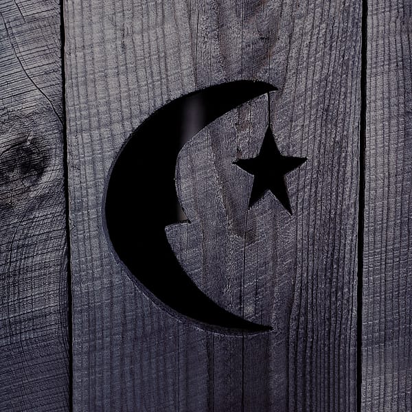 Farmhouse (Stars So Bright) (NEW LP)