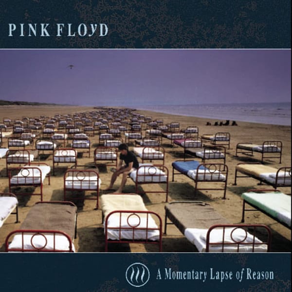 Momentary Lapse of Reason (CD)