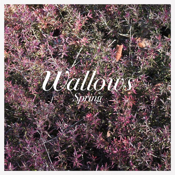 SPRING EP (NEW LP)
