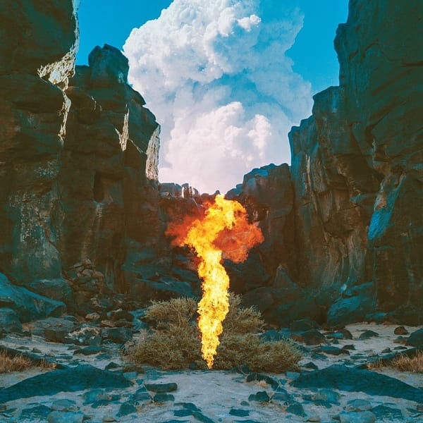 MIGRATION (NEW LP)