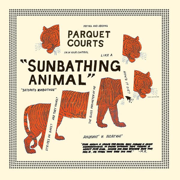 Sunbathing Animal (New LP)