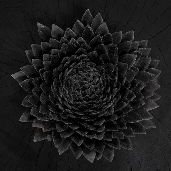 Obsidan (New LP)