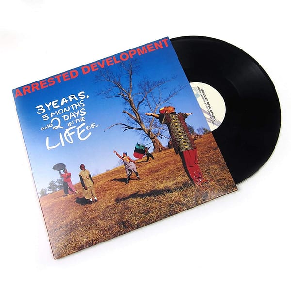3 YEARS 5 MONTHS & 2 DAYS IN THE LIFE OF (NEW LP)