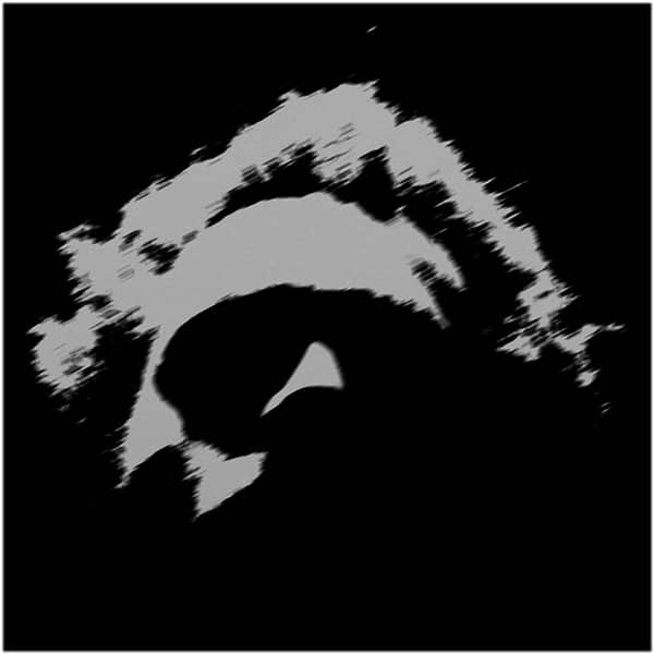 Lower (New LP)