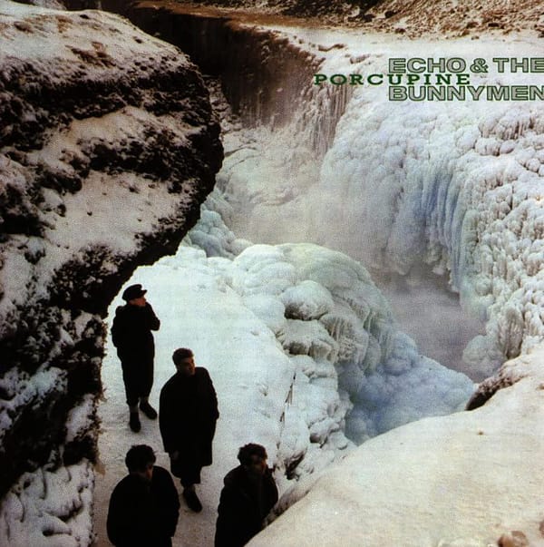 PORCUPINE (NEW LP)