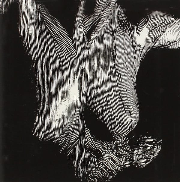 SELF PRESERVED WHILE THE BODIES FLOAT UP (CD)