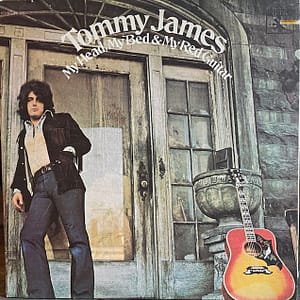 My Head My Bed & My Red Guitar (USED LP)