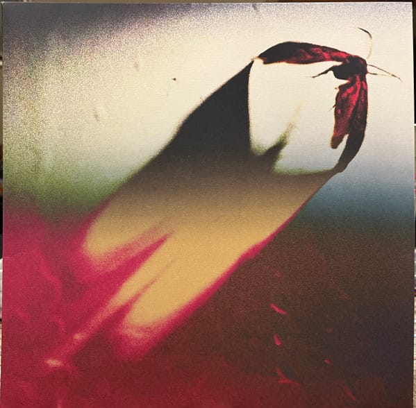 Are We All Angels (NEW LP)